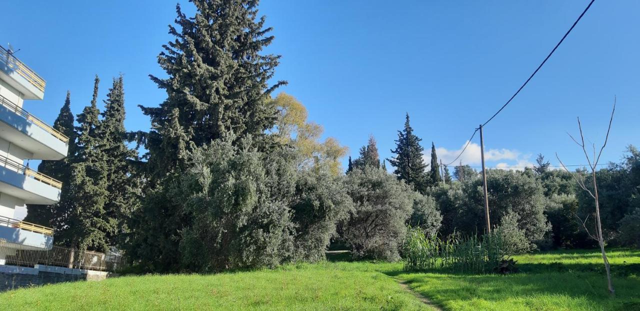 Όμορφο Studio Στην Πόλη Πάτρα Exterior photo